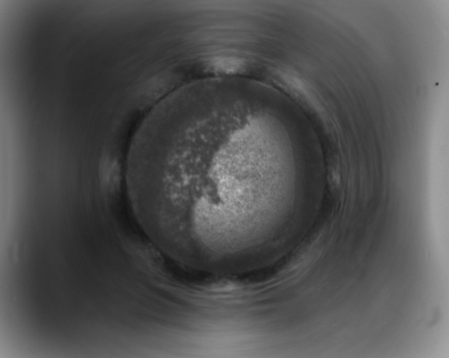 X0000090440551200707131222