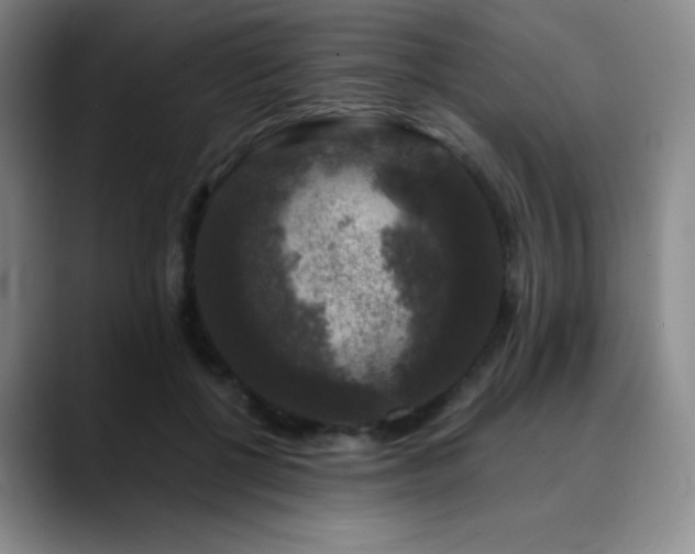 X0000090440552200707131222