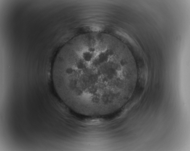 X0000090440553200707131222