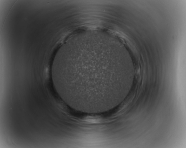 X0000090440556200707131222