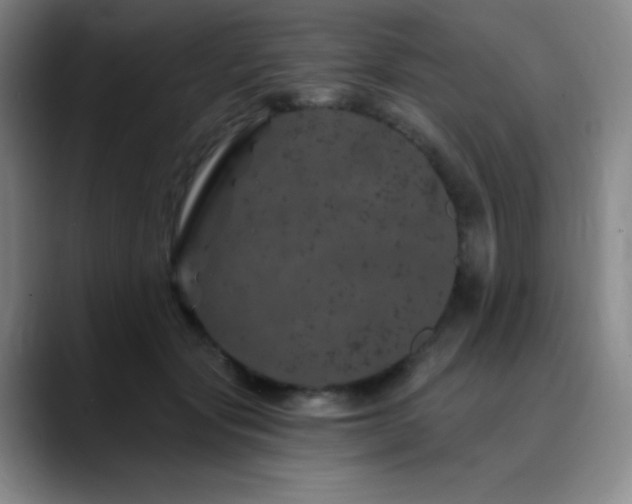 X0000090440557200707131222