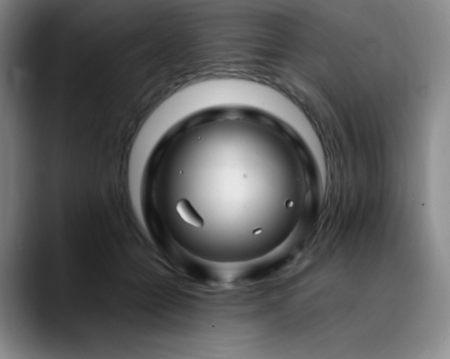 X0000090440558200707131222