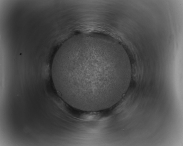 X0000090440563200707131222