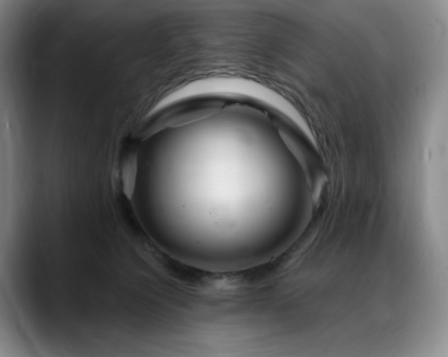 X0000090440564200707131222