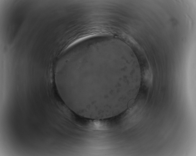 X0000090440565200707131222