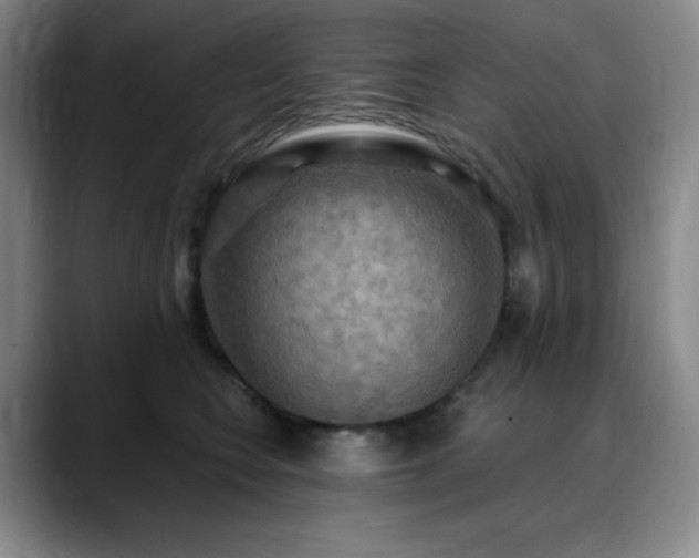 X0000090440566200707131222