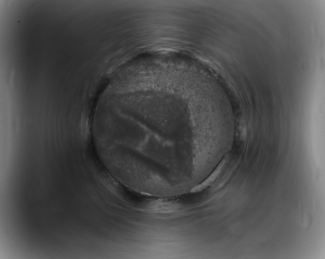 X0000090440568200707131222