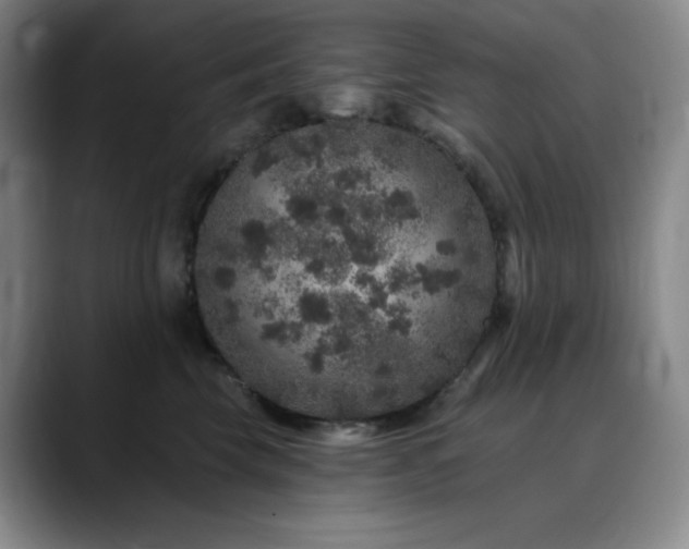 X0000090440569200707131222