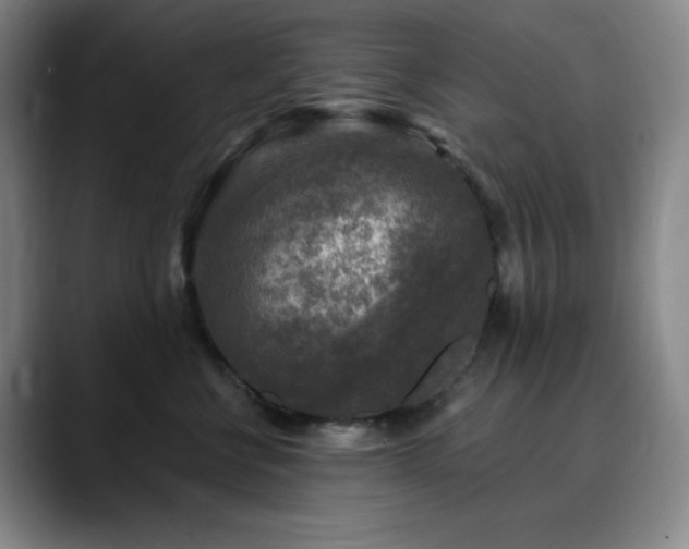 X0000090440570200707131222