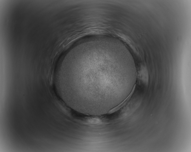 X0000090440572200707131222