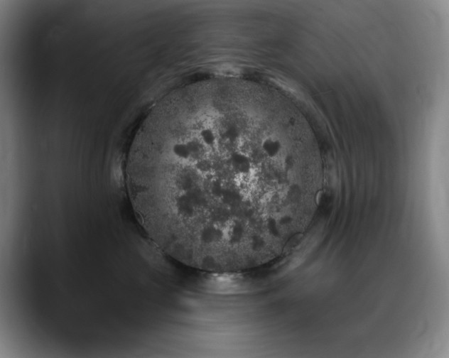 X0000090440573200707131222