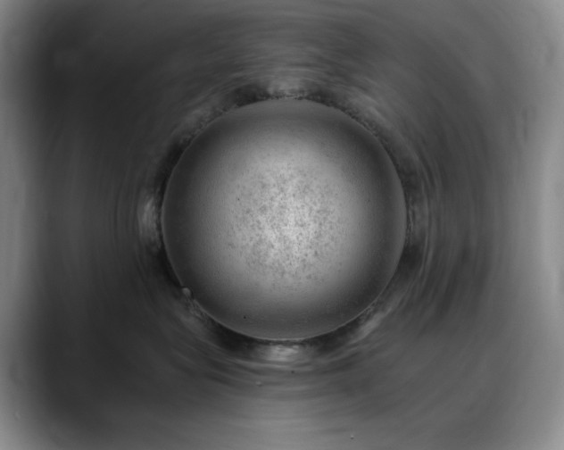 X0000090440575200707131222