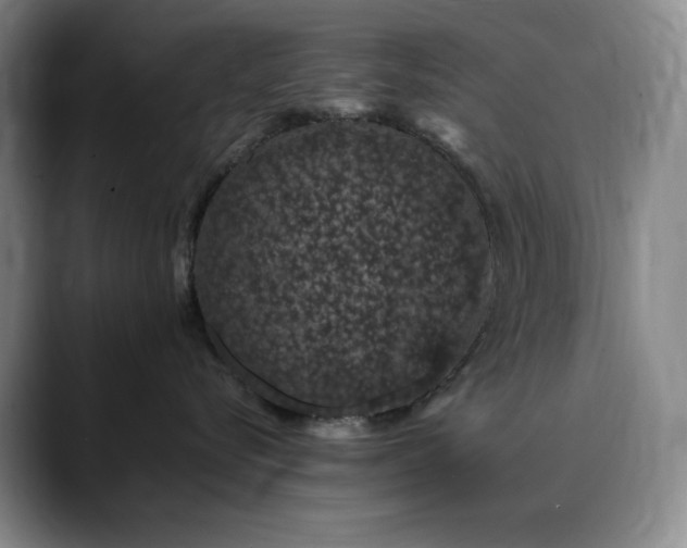 X0000090440576200707131222