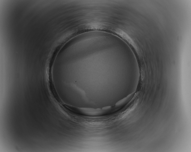 X0000090440581200707131221