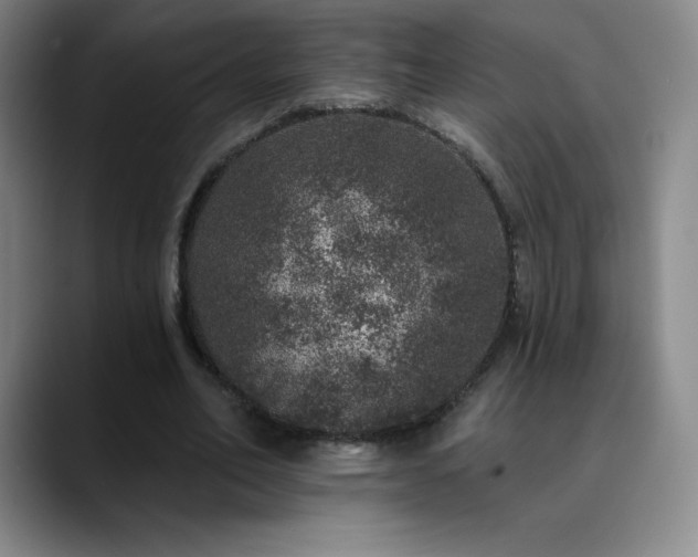 X0000090440582200707131221