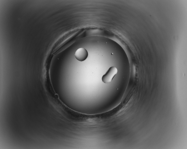 X0000090440584200707131221