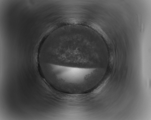 X0000090440585200707131221