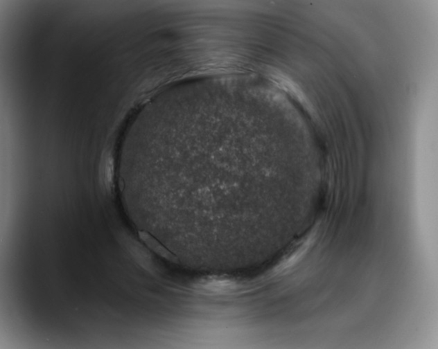 X0000090440589200707131221