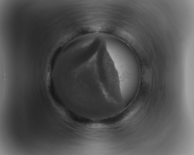 X0000090440590200707131221