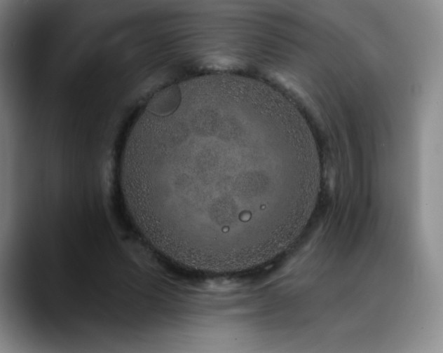 X0000090440591200707131221