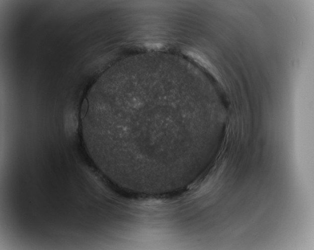 X0000090440593200707131221