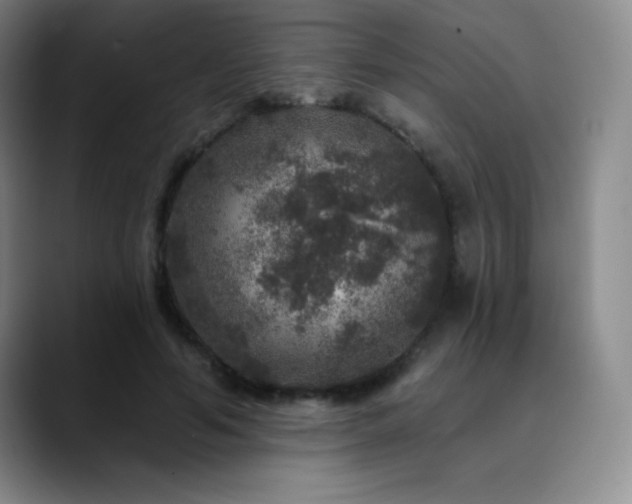 X0000090440594200707131221