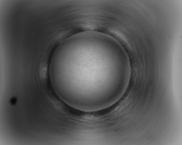 X0000090440596200707131221