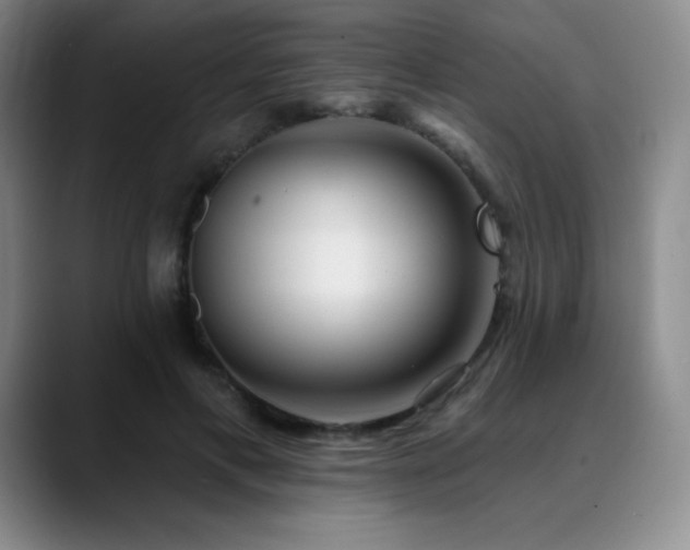 X0000090440597200707131221