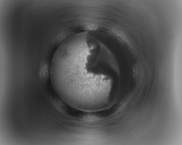 X0000090440598200707131221