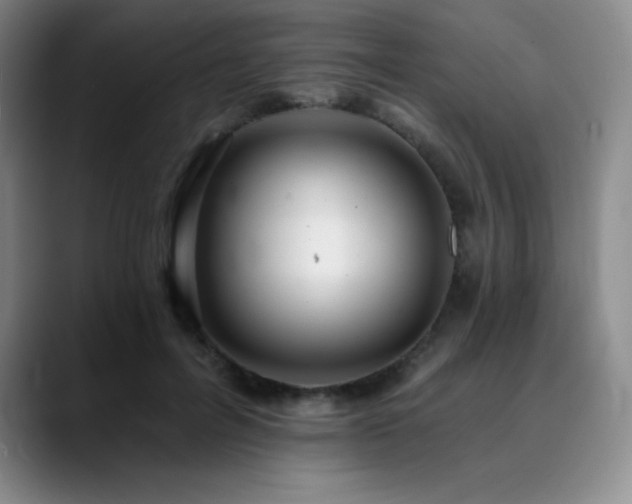 X0000090440600200707131221