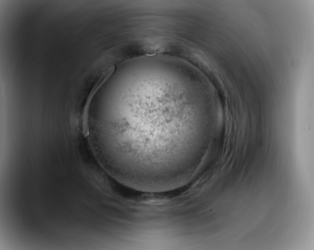 X0000090440601200707131221