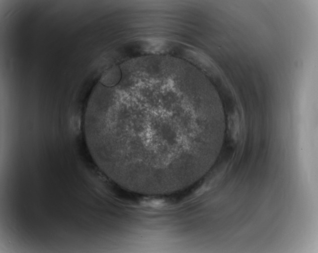 X0000090440602200707131221