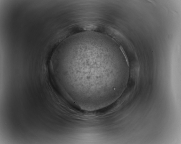 X0000090440604200707131221