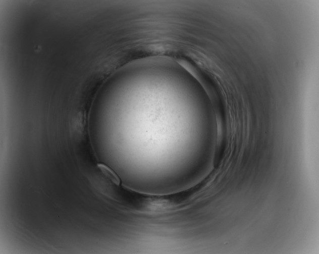 X0000090440605200707131221