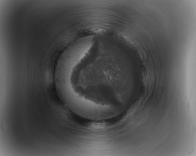 X0000090440606200707131221