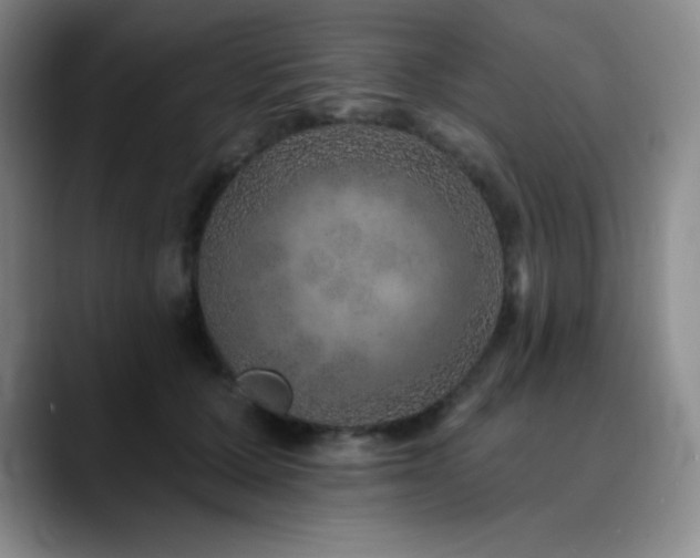 X0000090440607200707131221