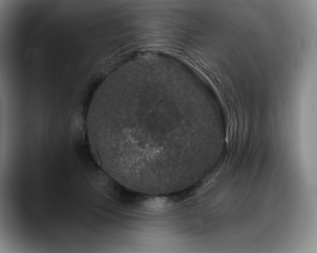 X0000090440609200707131221