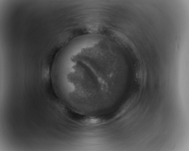 X0000090440610200707131221