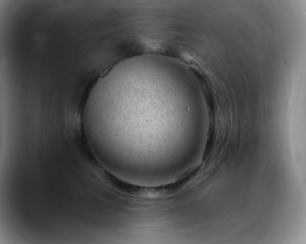 X0000090440613200707131221