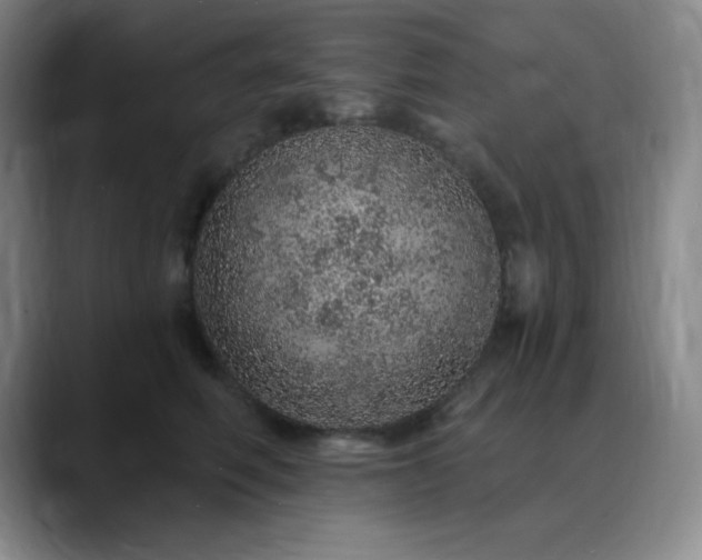 X0000090440614200707131221