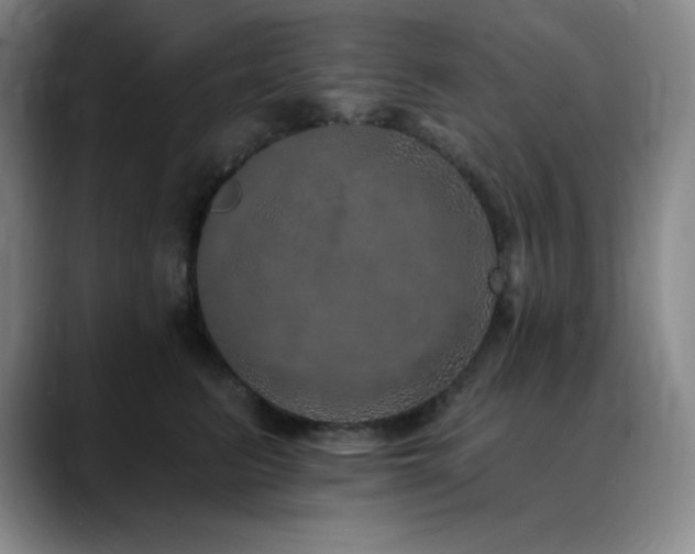 X0000090440615200707131221