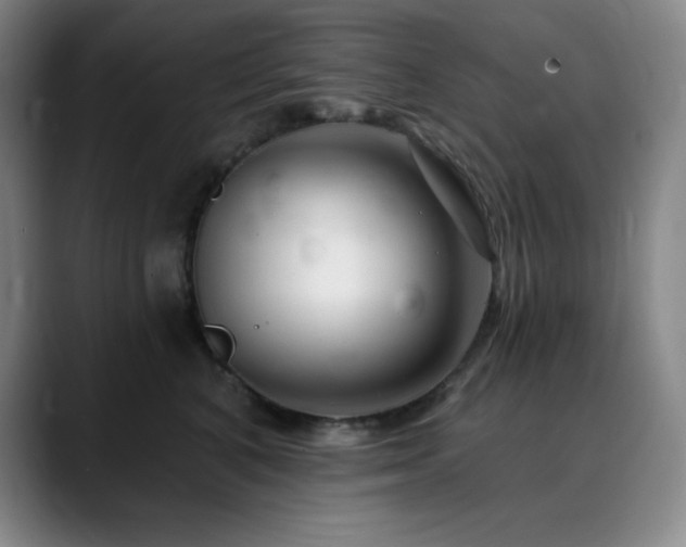 X0000090440616200707131221