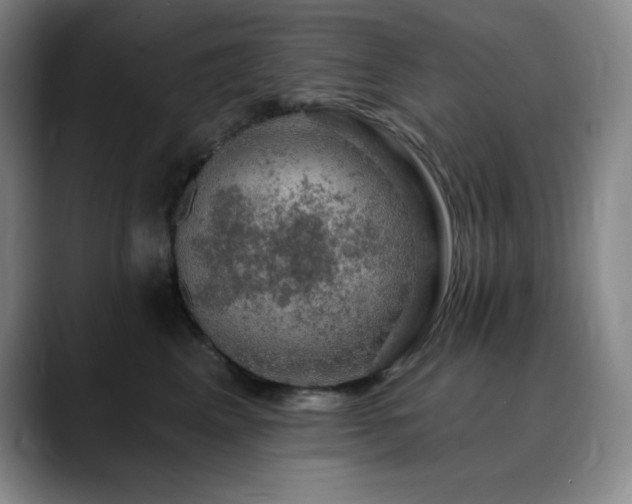 X0000090440617200707131221