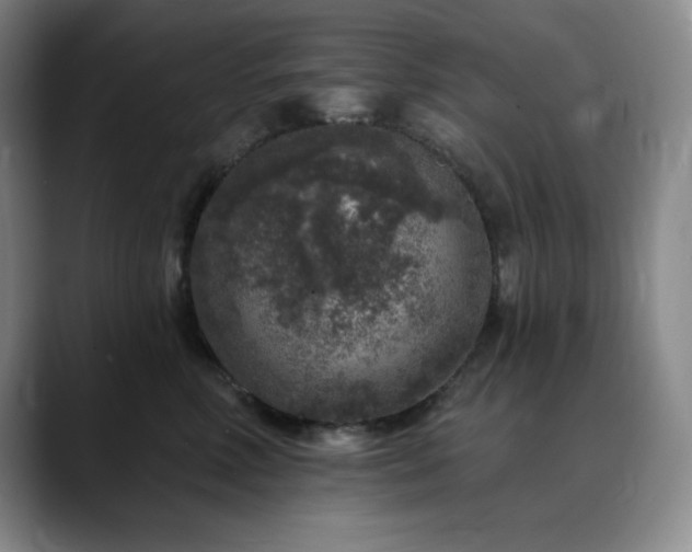 X0000090440618200707131221