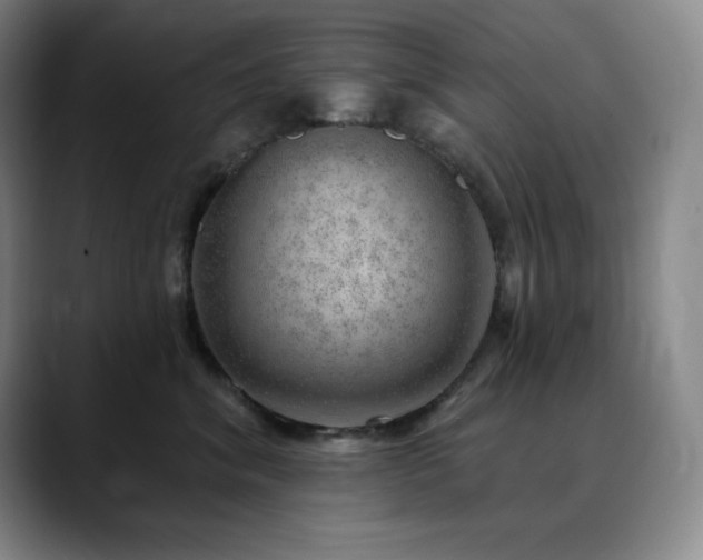 X0000090440620200707131221