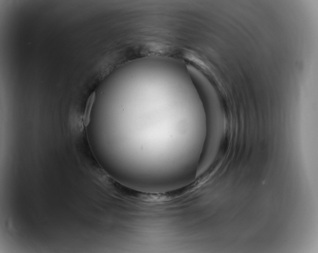 X0000090440621200707131221