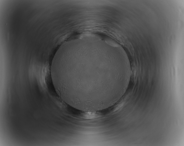 X0000090440623200707131221