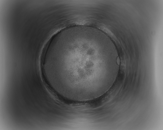 X0000090440626200707131220