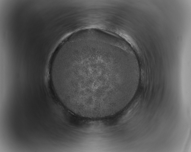 X0000090440628200707131220