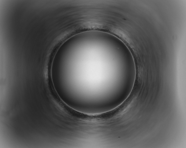 X0000090440629200707131220